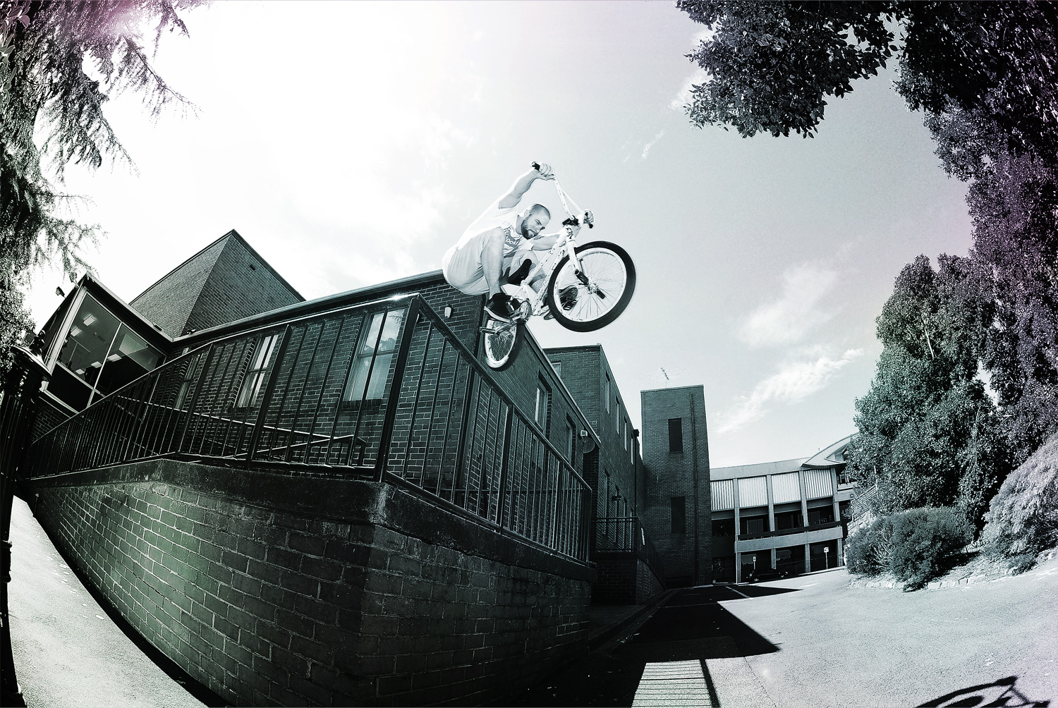 Daniel Johnson - Division Brand