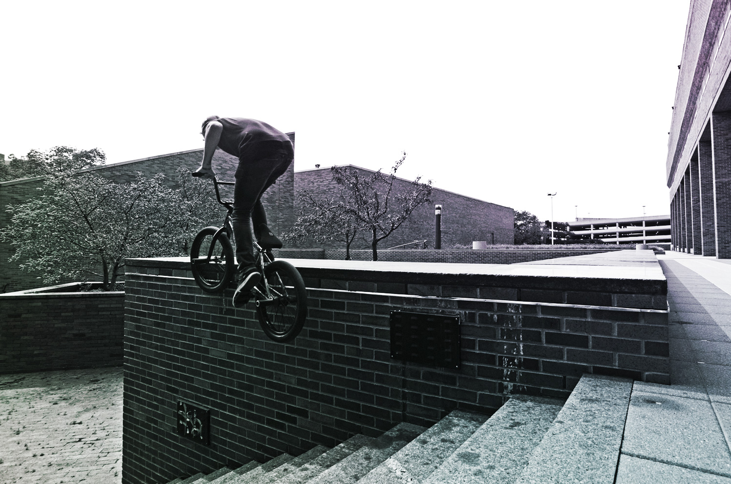 Jeremie Infelise - Division Brand