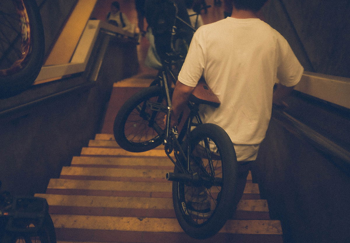 wolf-train-steps-LR